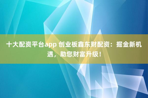 十大配资平台app 创业板鑫东财配资：掘金新机遇，助您财富升级！