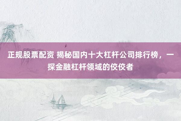 正规股票配资 揭秘国内十大杠杆公司排行榜，一探金融杠杆领域的佼佼者