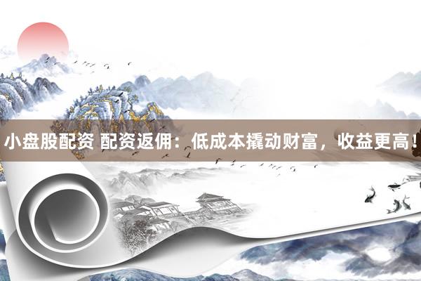 小盘股配资 配资返佣：低成本撬动财富，收益更高！