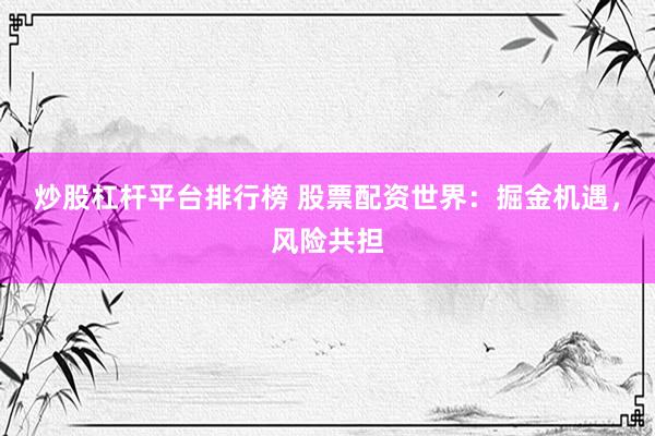 炒股杠杆平台排行榜 股票配资世界：掘金机遇，风险共担