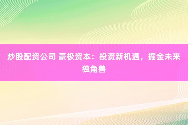 炒股配资公司 豪极资本：投资新机遇，掘金未来独角兽