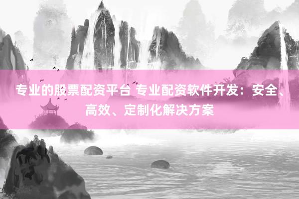 专业的股票配资平台 专业配资软件开发：安全、高效、定制化解决方案