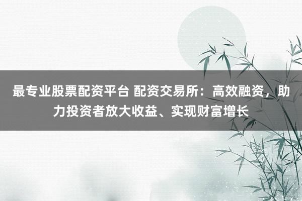 最专业股票配资平台 配资交易所：高效融资，助力投资者放大收益、实现财富增长