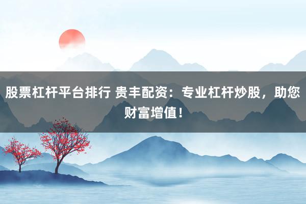 股票杠杆平台排行 贵丰配资:专业杠杆炒股,助您财富增值!