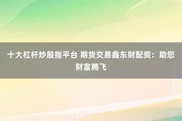 十大杠杆炒股指平台 期货交易鑫东财配资：助您财富腾飞