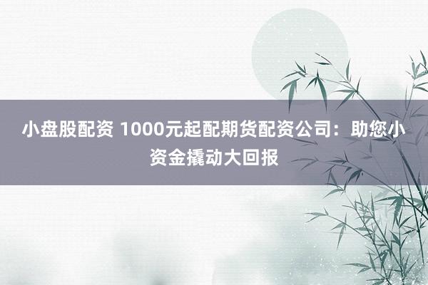 小盘股配资 1000元起配期货配资公司：助您小资金撬动大回报
