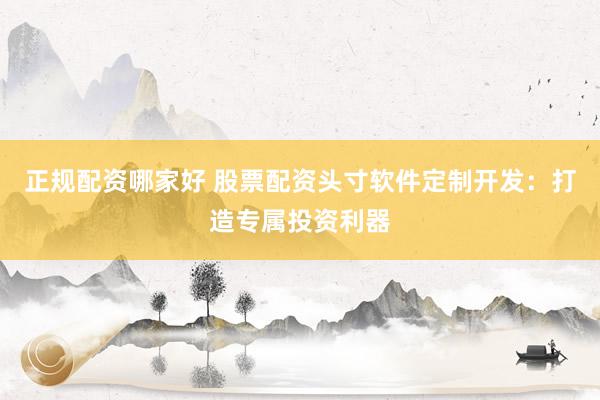 正规配资哪家好 股票配资头寸软件定制开发：打造专属投资利器
